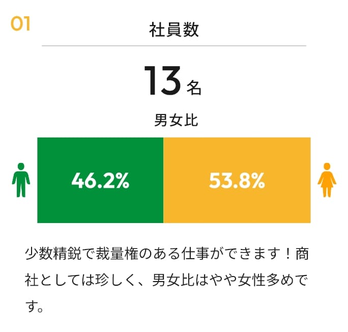 社員数 13名