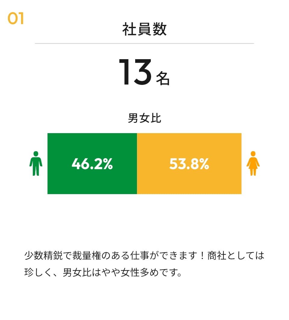 社員数 13名
